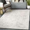 thumbnail image 3 of Mark&Day Area Rugs, 7x7 Hyeres Traditional Gray Square Area Rug, Grey Cream Carpet for Living Room, Bedroom or Kitchen (6'7" Square), 3 of 9