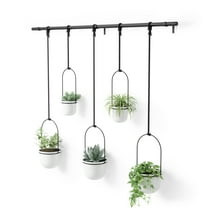 Umbra Triflora Hanging Planter Set of 5 White