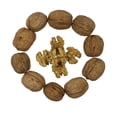 thumbnail image 5 of FirstChoiceCandy whole walnuts enclosed within their  Shell - 5 Pound, 5 of 6