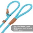 thumbnail image 3 of Slip Lead Dog Leash, Reflective Mountain Climbing Rope Leash, Dog Training Leash – 5FT, 2 Sizes (Medium, Turquoise) Turquoise Medium Turquoise Medium Turquoise Medium, 3 of 5