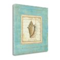 thumbnail image 2 of Tangletown Fine Art Bijou De Mer I by Daphne Brissonnet Poster Frame - 20 x 20 x 1.5 in., 2 of 2
