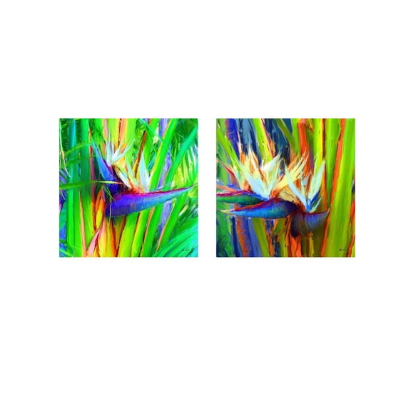 Great Art Now Bird of Paradise by Rick Novak 2 Piece Print Art Set Each 12W x 12H