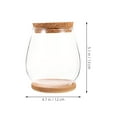 thumbnail image 2 of HONMEET Glass Terrariums for Plants Plant Terrarium Jar Clear for Versatile Display 1 Set, 2 of 8