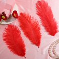thumbnail image 3 of Plumas de avestruz Berlune, 150 unidades, naturales, 30 — 35 cm, color rojo, 3 of 6
