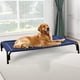 thumbnail image 1 of Cama Elevada para Perros Czpalo para Perros Extra Grandes con Malla y Patas, 1 of 6