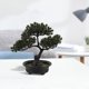 thumbnail image 1 of unbranded Planta De Bonsái Falsa De Simulación Ideal Para Interior En Tonos Oscuros, 1 of 6