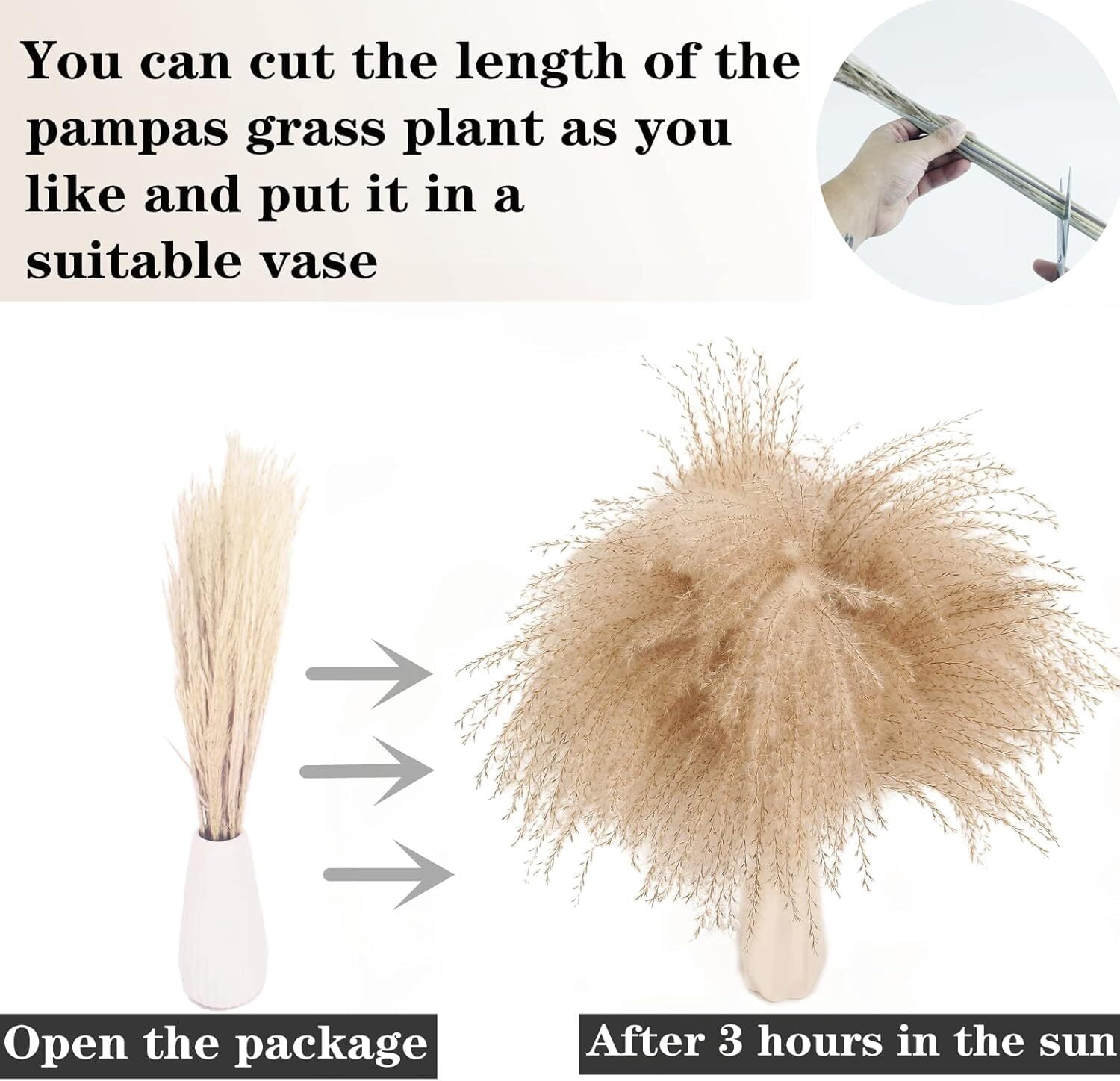 GoXteam 100Pcs Pampas Grass Decor-Bunny Tails Dried Flowers, Reed Grass Bouquet for Spring Home Wedding Table Vase Boho Decor