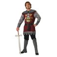 thumbnail image 1 of Noble Knight Costume, 1 of 1