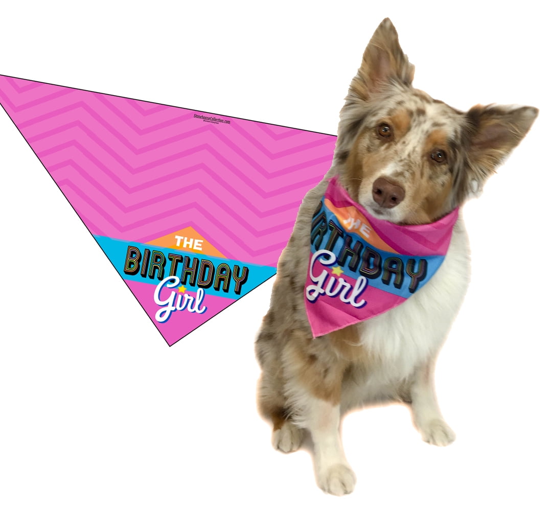 happy birthday girl dog