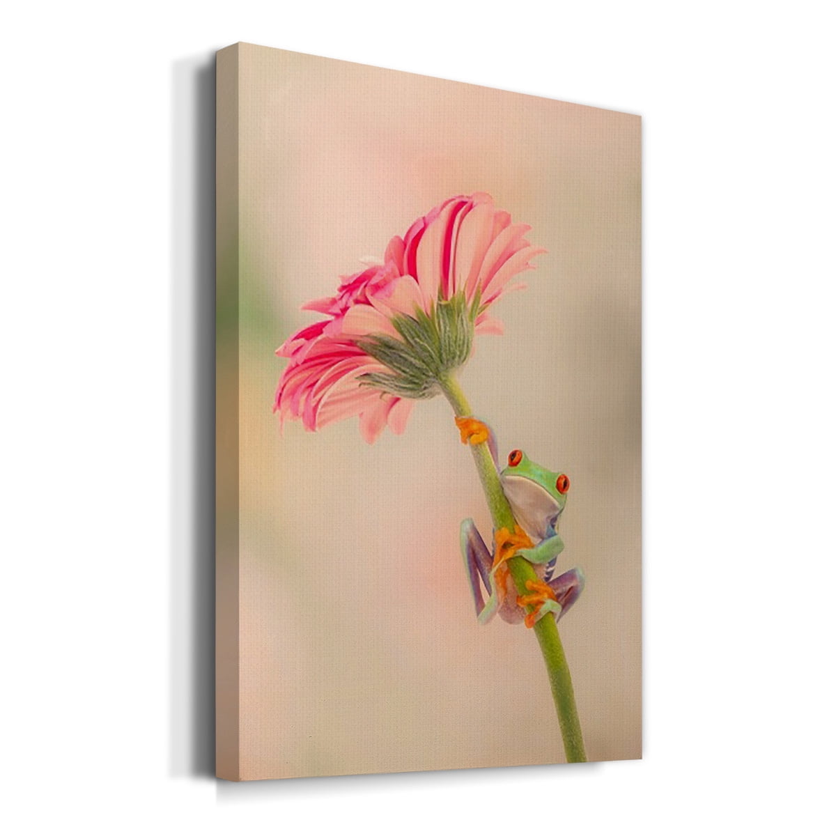 Hanging On I Premium Gallery Wrapped Canvas - Ready to Hang