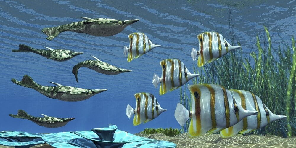 Pteraspis is an extinct genus of jawless ocean fish that lived in the