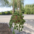 thumbnail image 2 of Hand Crocheted Wool Potted Plant Car Hanging - Creative Rearview Pendant, for Decoration & Gifting, 2 of 6