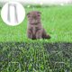 thumbnail image 1 of 24 Alfombrillas Para Gatos De 7,9 X 5,9 Pulgadas, Alfombrilla Repelente De Gatos Con 12 Pinchos En Forma De U Y 20 Lazos Verdes, Almohadilla Flexible Con Pinchos Para Gatos Para Cerca Del Hogar, Jardí Muyoka Hogar, 1 of 7