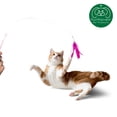 thumbnail image 3 of FurHaven Pet Toy | Dizzy Kitty Feather Wand Cat Toy, Pink, 2-Pack, 3 of 10