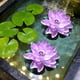 thumbnail image 5 of Floating Foam Lotus Flowers with Leaves, Artificial Water Lilies for Pond Pool Decor, Realistic Fake Lotus Flowers for Garden Water Feature, Outdoor Pond Decorations, Water Garden Accents, 5 of 6