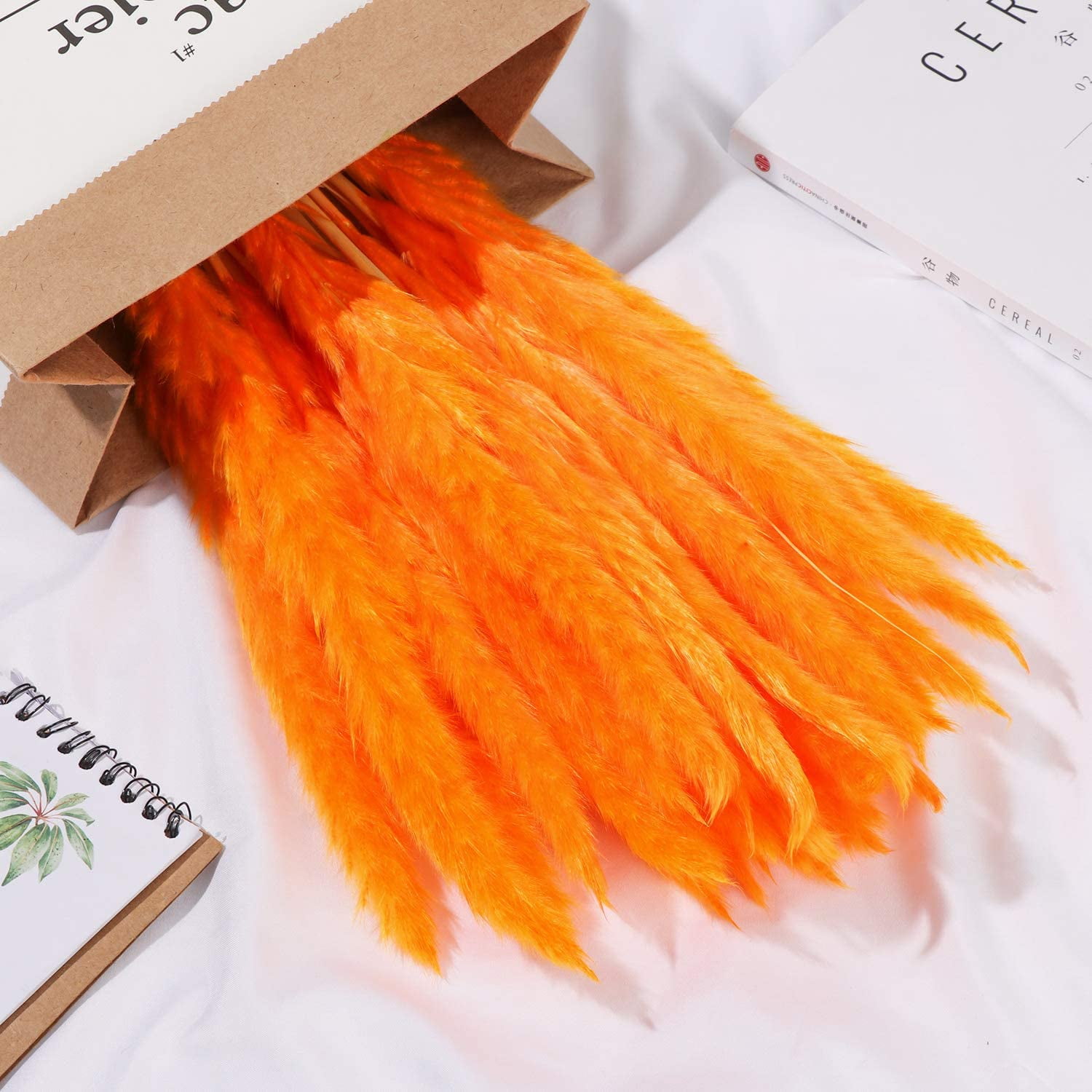 Xelparuc 30pcs Dried Flowers Natural Dried Pampas Grass Reed Plant with Box Real Flowers Romantic Wedding Flower Bulrush Bouquets Flavorful Durable for DIY Home Decor Matching Photography