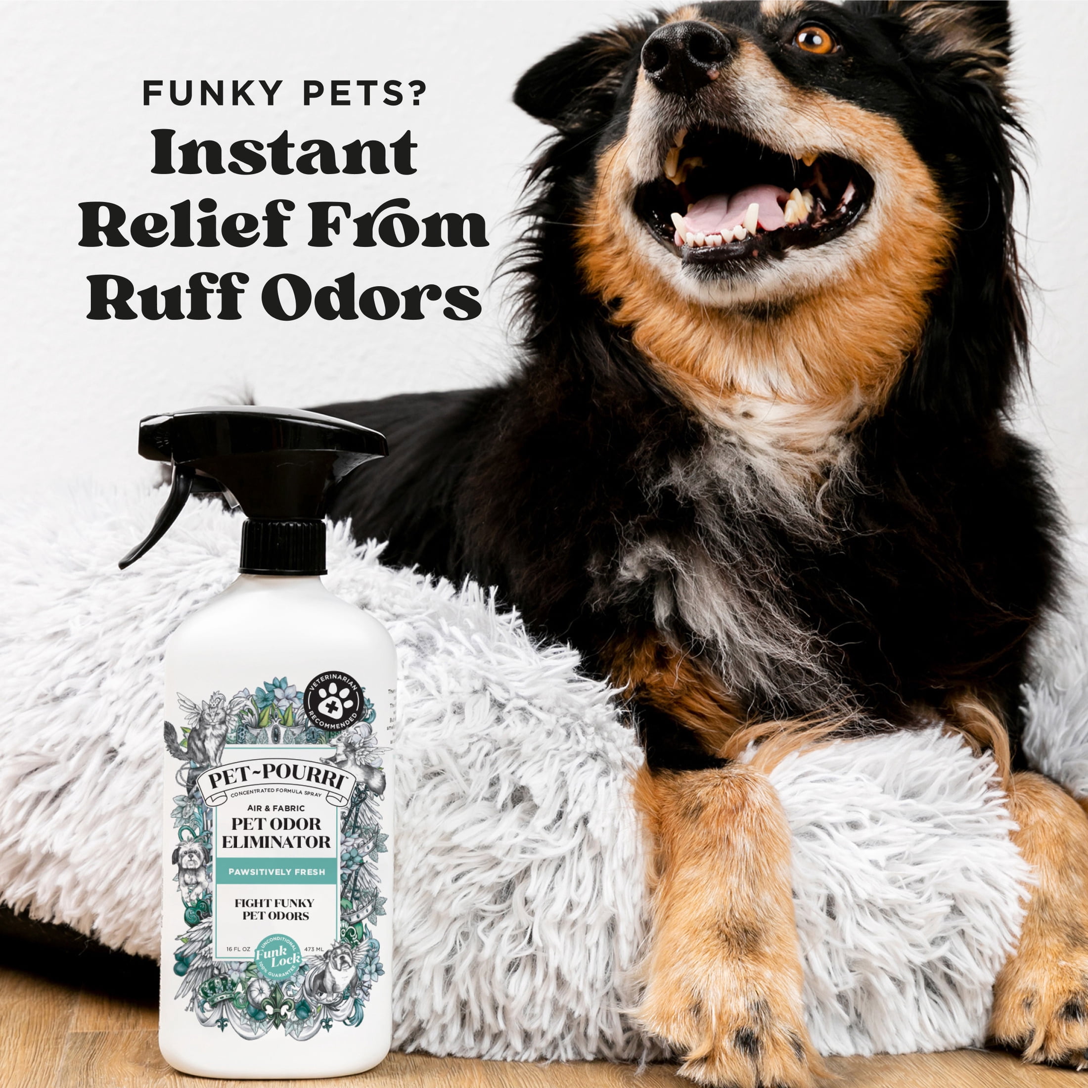 (3 pack) Pet~Pourri Pawsitively Fresh Pet & Home Deodorizer Spray, Jasmine + Fresh Air + Pear, 16oz