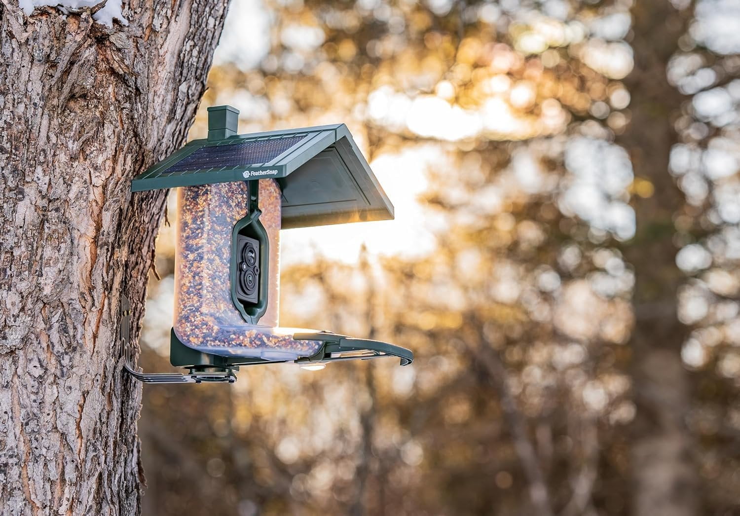 Smart Birdfeeder with AI Identification and Wi-Fi Solar Powered, Captures HD Pictures and Videos Sent Directly to Your Phone Bird Feeder, Pole, & Starter Kit