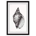 thumbnail image 3 of Marmont Hill Elegant Looking Shell Framed Painting Print, 3 of 4