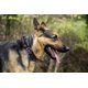 thumbnail image 4 of Collar Nailon Mediano Pets First Azul con Hebilla Desenganche rápido para Perro y Gato de la NHL Col, 4 of 6