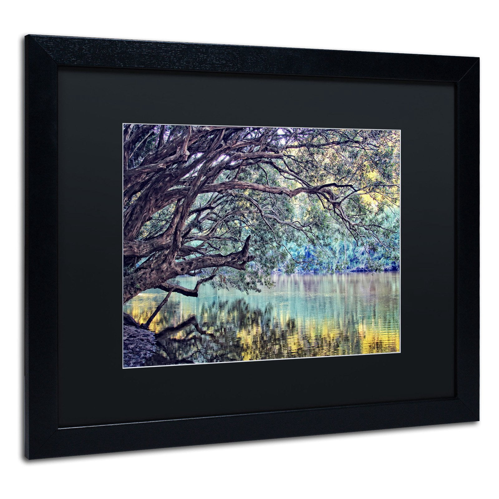 Trademark Fine Art "A Place to Dream" Canvas Art by Beata Czyzowska Young, White Matte, Black Frame