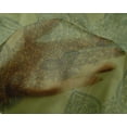 thumbnail image 4 of oneOone Silk Tabby Fabric Leaves & Floral Block Print Fabric BTY 42 Inch Wide, 4 of 4