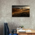 thumbnail image 3 of Epic Graffiti 'Last Autumn Light' by Enrico Fossati, Giclee Canvas Wall Art, 40"x26", 3 of 8