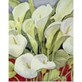 thumbnail image 1 of Great BIG Canvas | Rolled Poster Print entitled White Calla Lilies, 1 of 4