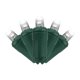 thumbnail image 1 of Cadena de luces Celebrations Grand Mini Convex, 50 LED, 7,6 m, 1 of 3