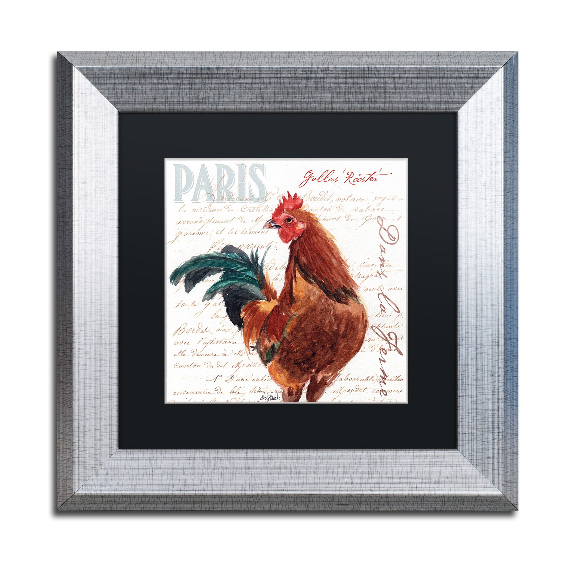 Trademark Fine Art "Dans la Ferme Rooster II" Canvas Art by Jennifer Redstreake Black Matte, Silver Frame
