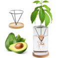 thumbnail image 1 of Jarrón de aguacate para cultivar semillas de aguacate jarrón de iniciación triangular con soporte de metal base de madera (chap en cromo), 1 of 3