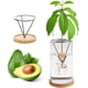 thumbnail image 1 of Jarrón de aguacate para cultivar semillas de aguacate jarrón de iniciación triangular con soporte de metal base de madera (chap en cromo), 1 of 3