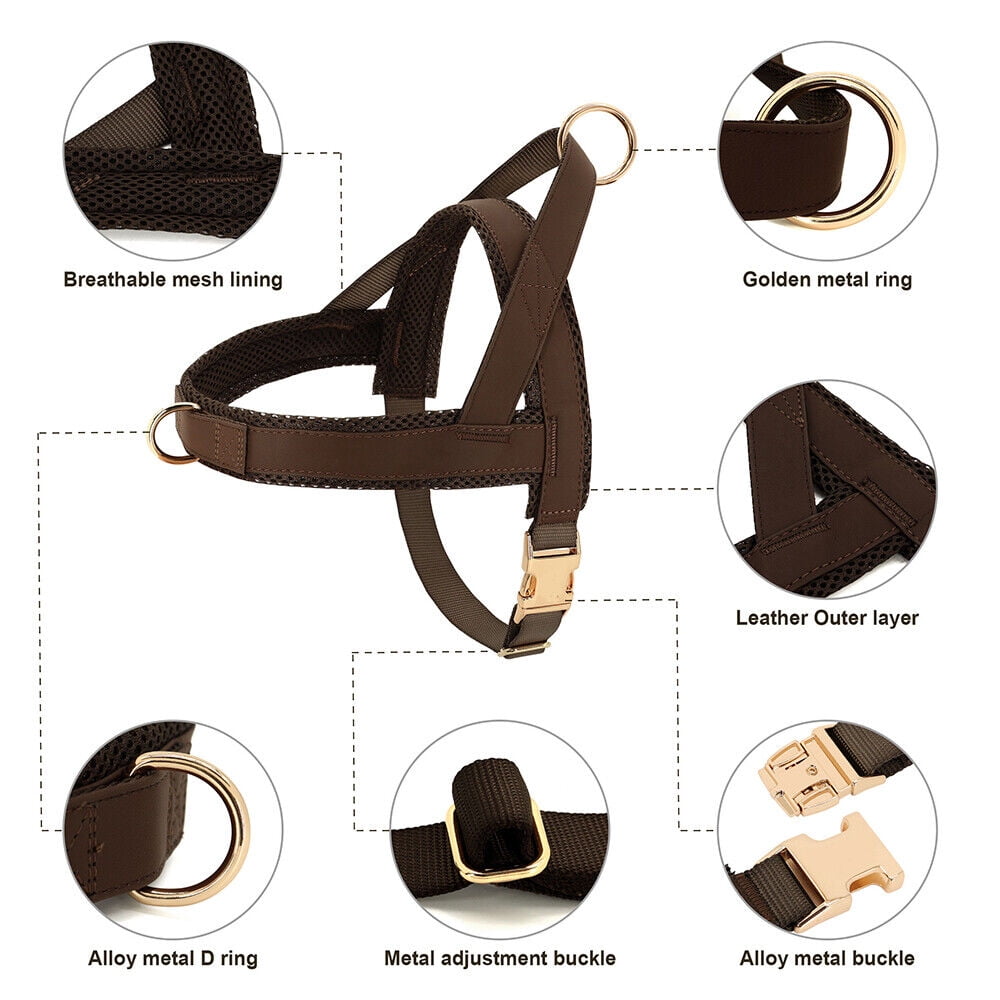 Didog Front Clip No Pull Dog Vest Harness and Leash set Adjustable Mesh Padded Heavy Duty Buckle