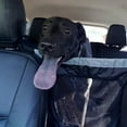 thumbnail image 4 of Suministros para coche para mascotas, barrera para perros en el asiento trasero del coche, red de aislamiento para mascotas, 4 of 5