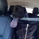 thumbnail image 4 of Suministros para coche para mascotas, barrera para perros en el asiento trasero del coche, red de aislamiento para mascotas, 4 of 5