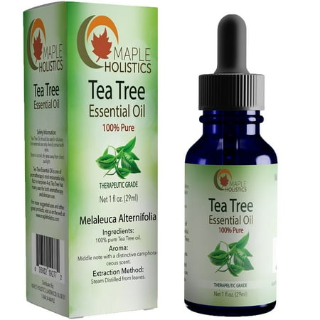 100 Tea Tree Oil Maple Holistics 100% Pure Tea Tree Oil, Antibacterial, Antiseptic, Antimicrobial, and Antiviral, Natural Skin & Hair Care Product, 1 Oz ()