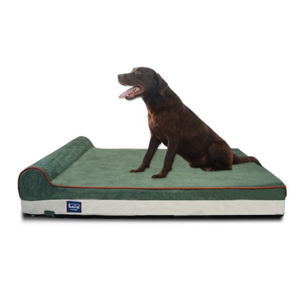 Laifug Orthopedic Memory Foam Extra Large Dog Bed with Pillow and
