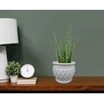 thumbnail image 2 of 6" Diamond Belle Pot-White, 2 of 2