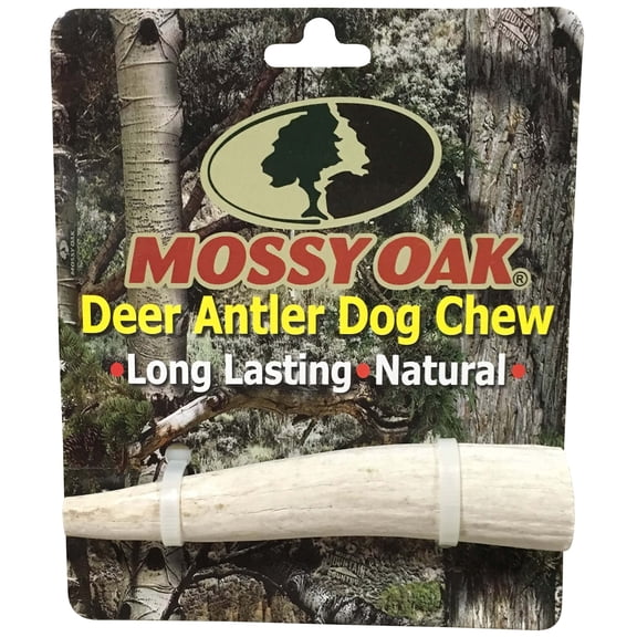 Mossy Oak: Deer Antler - Small - Dog Chew, Whole Piece, Naturally Shed, Long-Lasting Pet Treat, Preservative Free, Dental Health, Aggressive Chewers