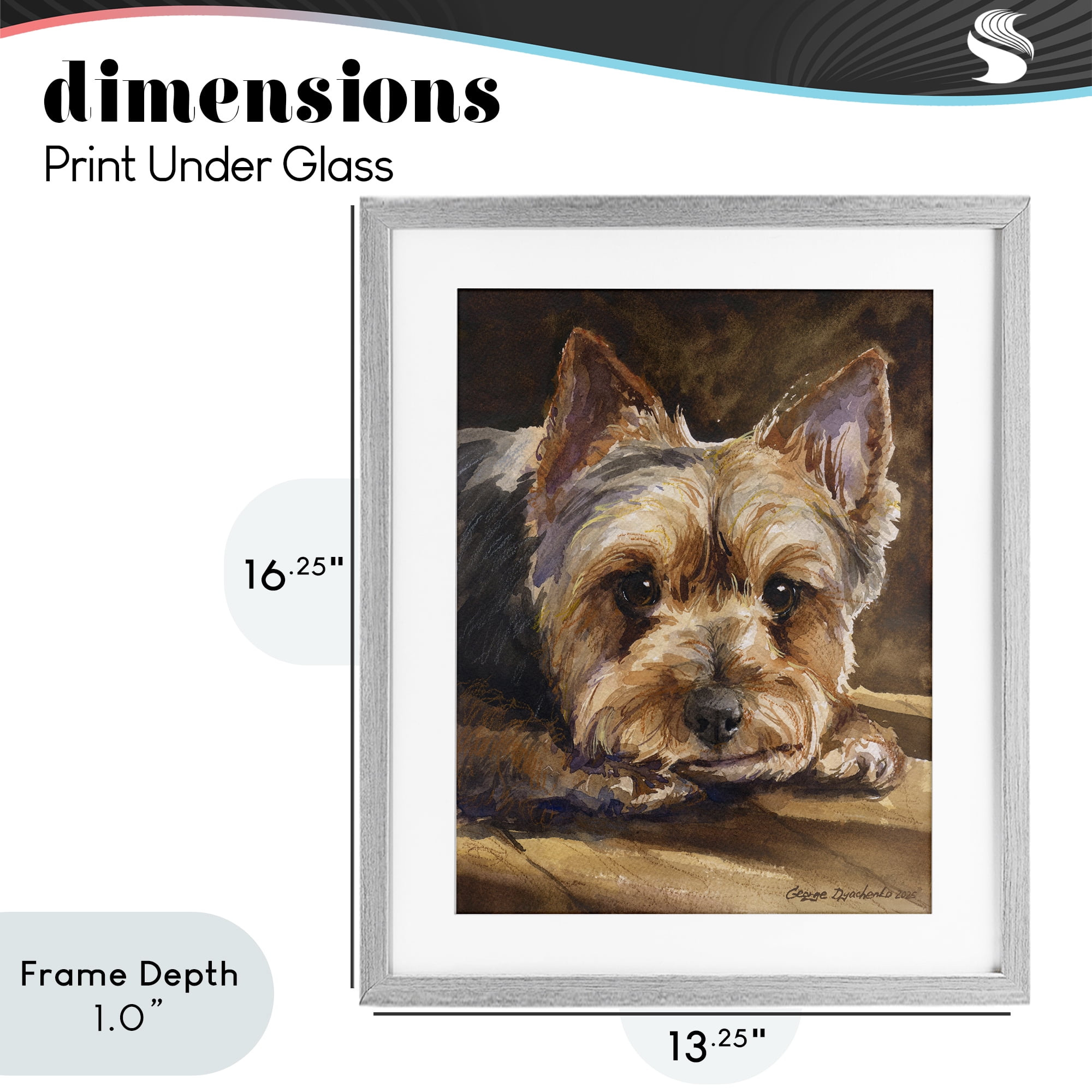 Stupell Industries Yorkshire Terrier Portrait Gray Framed Print Under Glass, design by George Dyachenko