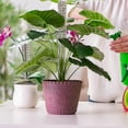 thumbnail image 2 of 8 Pieces Moss Pole Coir Moss Pole Stick Stackable Plant Stakes Monstera Plant Support Plastic Sphag-XinHan, 2 of 5
