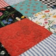thumbnail image 5 of Donna Sharp Wild One Patch Pieced Cotton Queen 3PC Quilt Set, 5 of 9