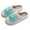Light Blue, variant on Women's Winter Warm Fleece Lined House Slippers Comfortable Non Slip Fashion Embroidery Print Fuzzy Slippers White Size 6
