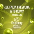 thumbnail image 2 of Perlas de Perfume Downy Paradise Aroma Tropical, 345g con 6X Más Fragancia*, 2 of 6