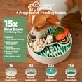 thumbnail image 4 of Slow Feeder Dog Bowl, Dog Bowl for Dry, Wet, and Raw Food, 9.8 Inches Dog Food Puzzle for Fun and Healthy Mealtime, Slow Eating Dog Dish for All Breeds, Green, 4 of 7