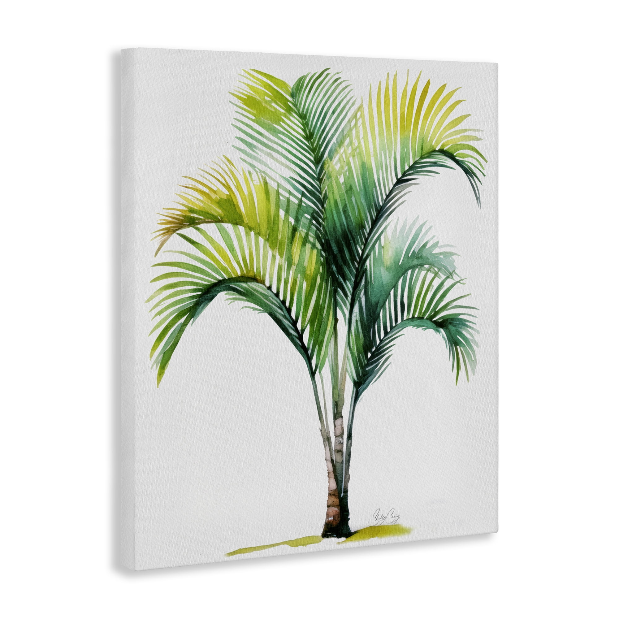 Stupell Industries Coastal Canopy Palm Tree Canvas Wall Art, design by Shelly Craig