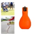 thumbnail image 4 of serony Training Whistle Portable Sports PVC Hand Whistles for Referee, 4 of 9