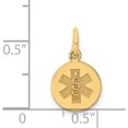 thumbnail image 2 of 14K Yellow Gold Medical Jewelry Unenameled Pendant (15 X 9.7) Made In United States xm406n, 2 of 5