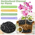 thumbnail image 3 of 2 QT Horticultural Charcoal- Natural Charcoal for Plants, Biochar Soil Amendment for Indoor Plants, Terrariums, Orchids Potting Mix and Gardening, 3 of 3