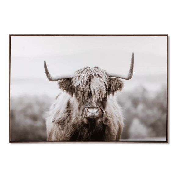 Bouclair Art Encadré Vache des Highlands Sépia Poilue 46 X 31 Po (115 X 77,5 cm)